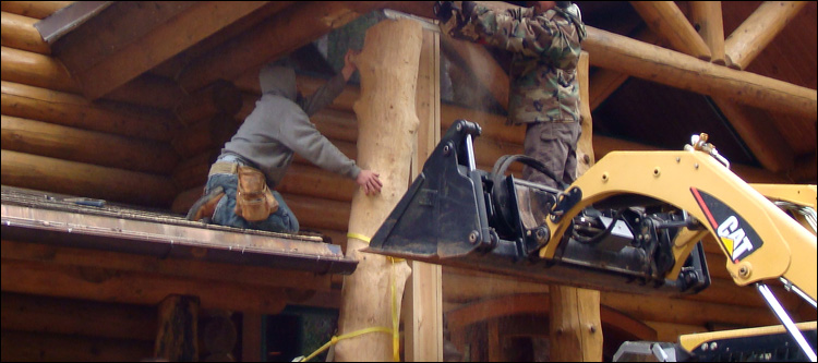 Log Home Log Replacement  Sussex County, Virginia