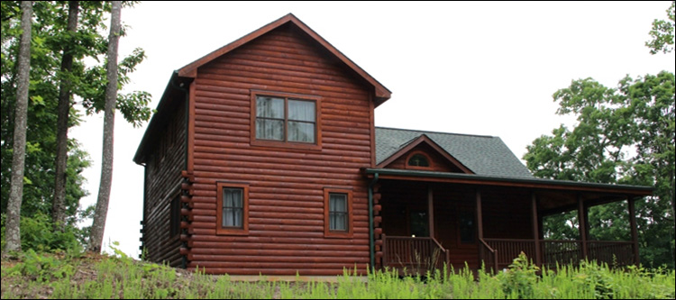 Professional Log Home Borate Application  Sussex County, Virginia